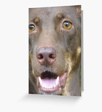 Shaggy.. Greeting Card