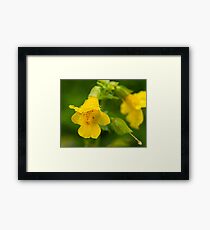 Rain drops Framed Print