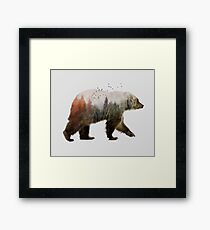 Bear Framed Print