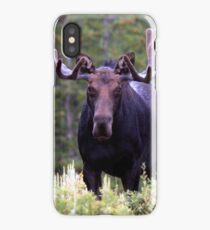 Bull moose iPhone Case