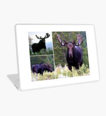 Bull moose Laptop Skin