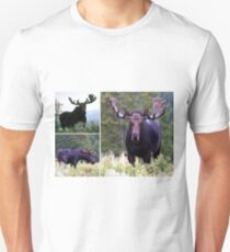 Bull moose Unisex T-Shirt