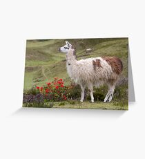 Posing Greeting Card