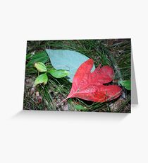 Sassafras Greeting Card