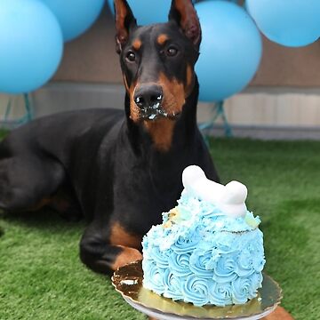 Doberman cake 2024