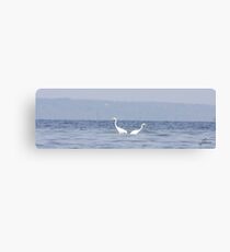 Seperate Ways Canvas Print