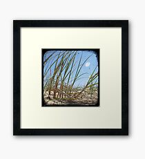 Grassy Dunes - TTV #3 Framed Print