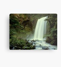Hopetoun Falls September 2010 Metal Print