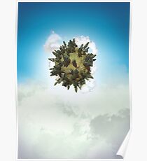 Tiny Planet Poster