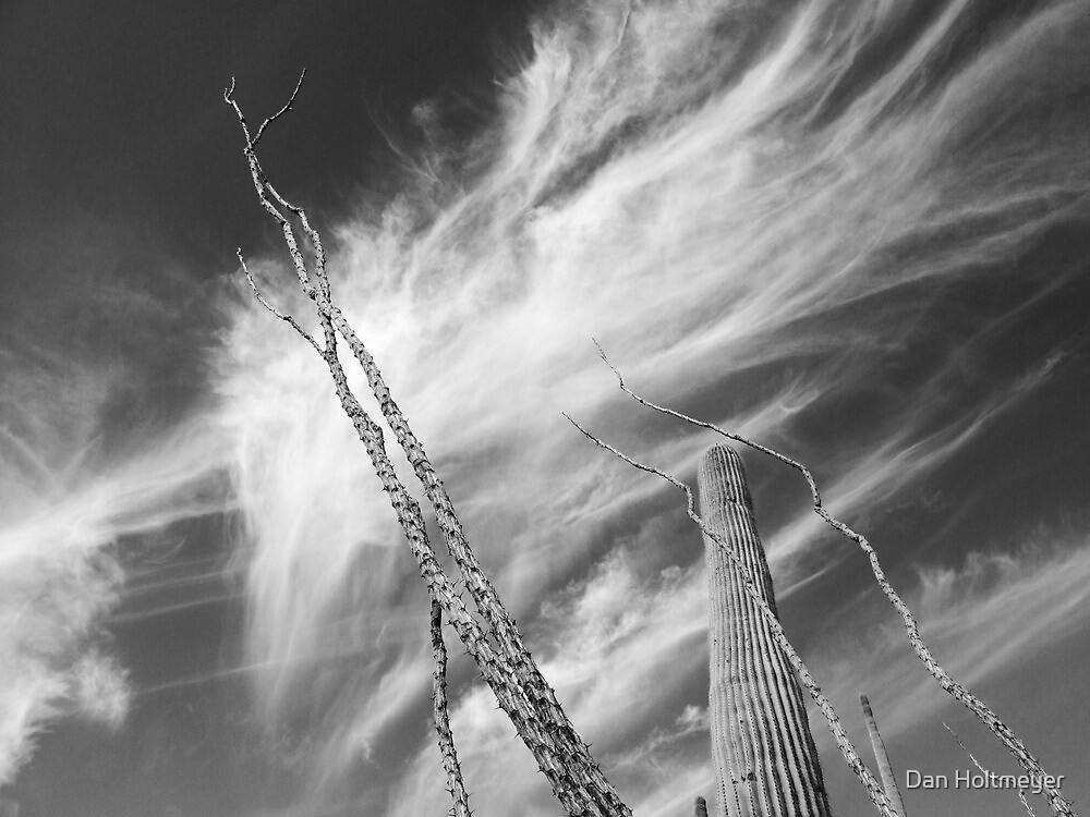 Desert Clouds by Daniel Holtmeyer