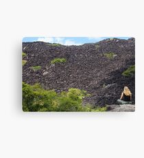 Musing Over The Mountain... Canvas Print