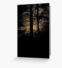 7 star ******* Lappland sunset - Sweden. Brown Sugar Story. Greeting Card