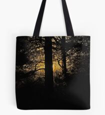 7 star ******* Lappland sunset - Sweden. Brown Sugar Story. Tote Bag