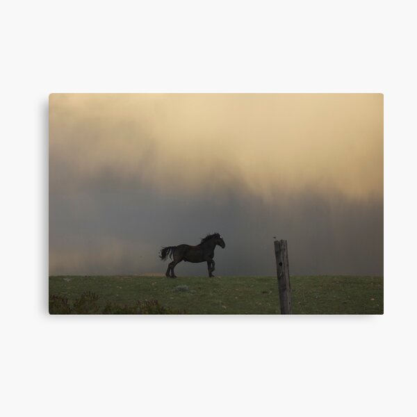 Rain can't catch me Canvas Print