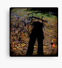 ttv Canvas Print