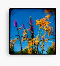 TTV Canvas Print