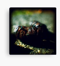 TTV Canvas Print