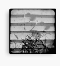TTV Canvas Print