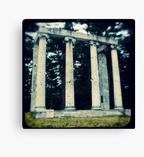 TTV Canvas Print