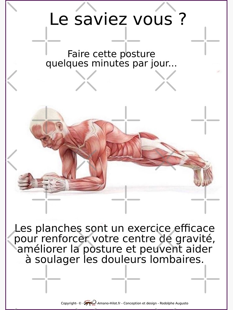 « Planches Musculo-squelettique des positions de Yoga - N°2 » par rodolphe-a