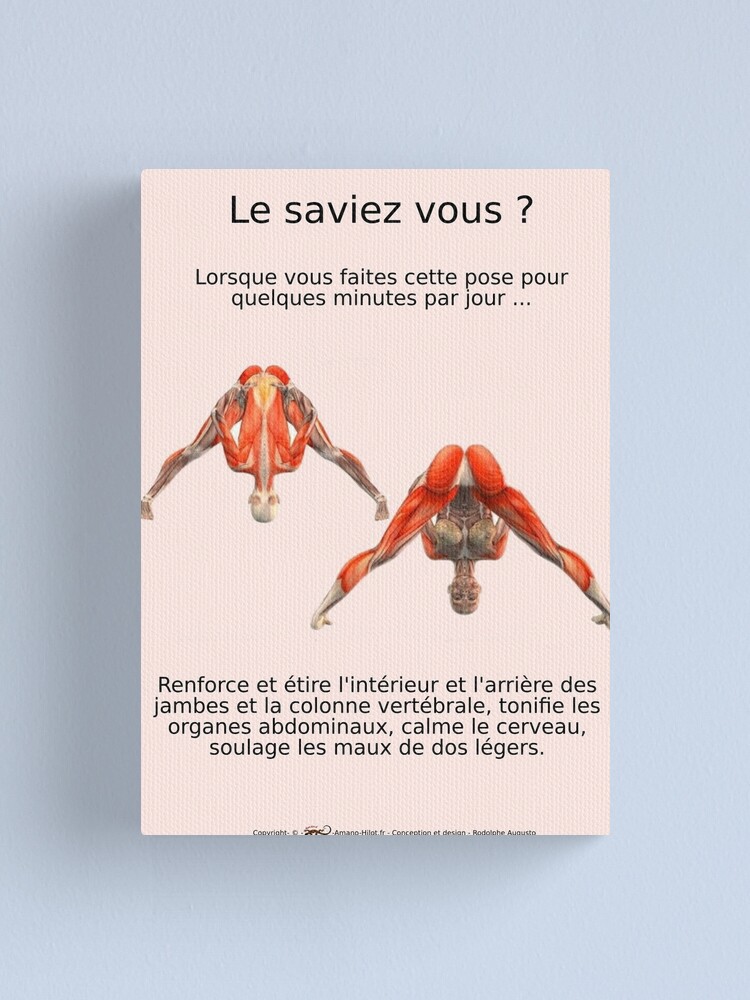 Impression sur toile ''Planches Musculo-squelettique des positions de Yoga - N°3' : autre vue
