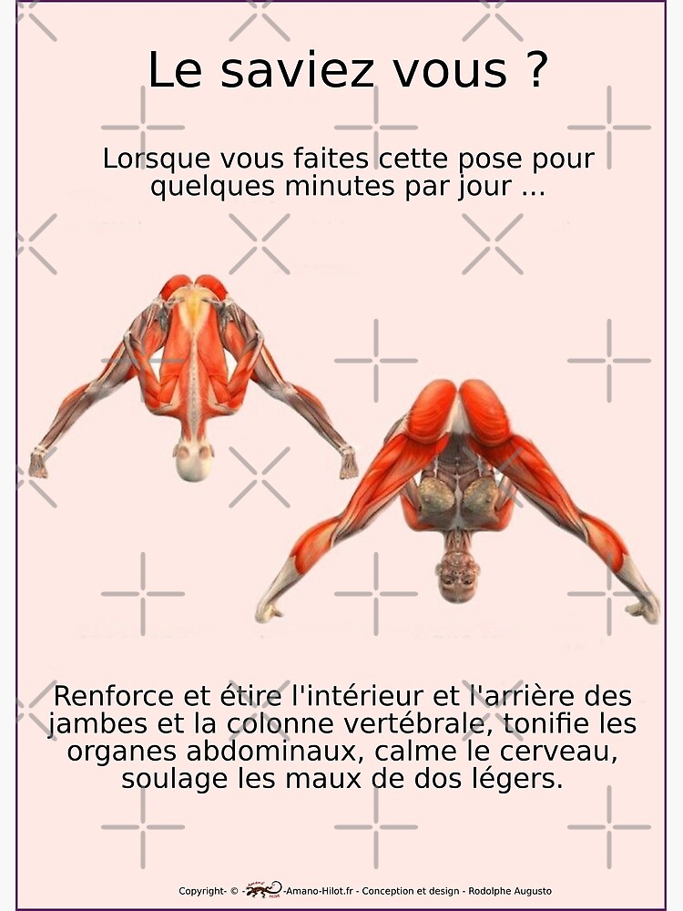 « Planches Musculo-squelettique des positions de Yoga - N°3 » par rodolphe-a