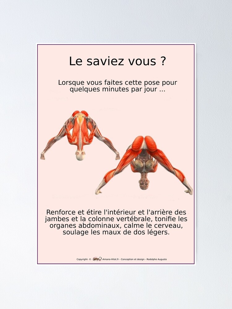 Poster ''Planches Musculo-squelettique des positions de Yoga - N°3' : autre vue