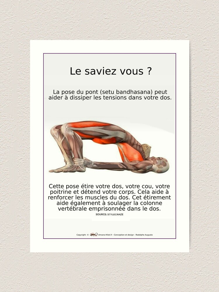 Impression artistique ''Planches Musculo-squelettique des positions de Yoga - N°4' : autre vue