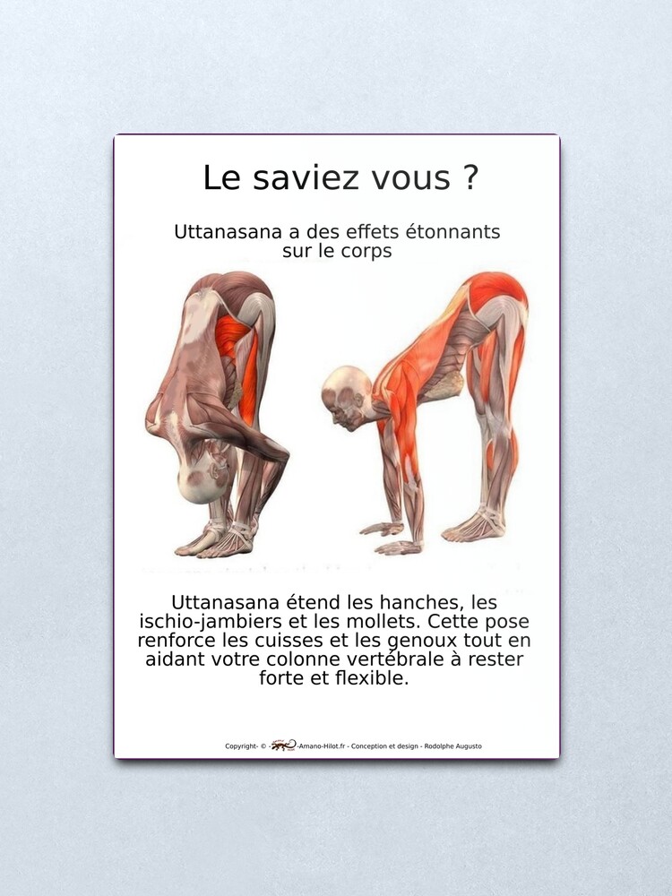 Impression métallique ''Planches Musculo-squelettique des positions de Yoga - N°7' : autre vue