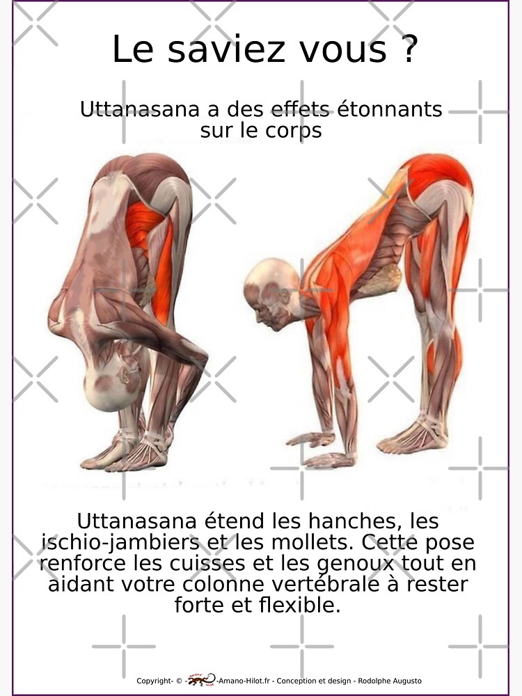 « Planches Musculo-squelettique des positions de Yoga - N°7 » par rodolphe-a