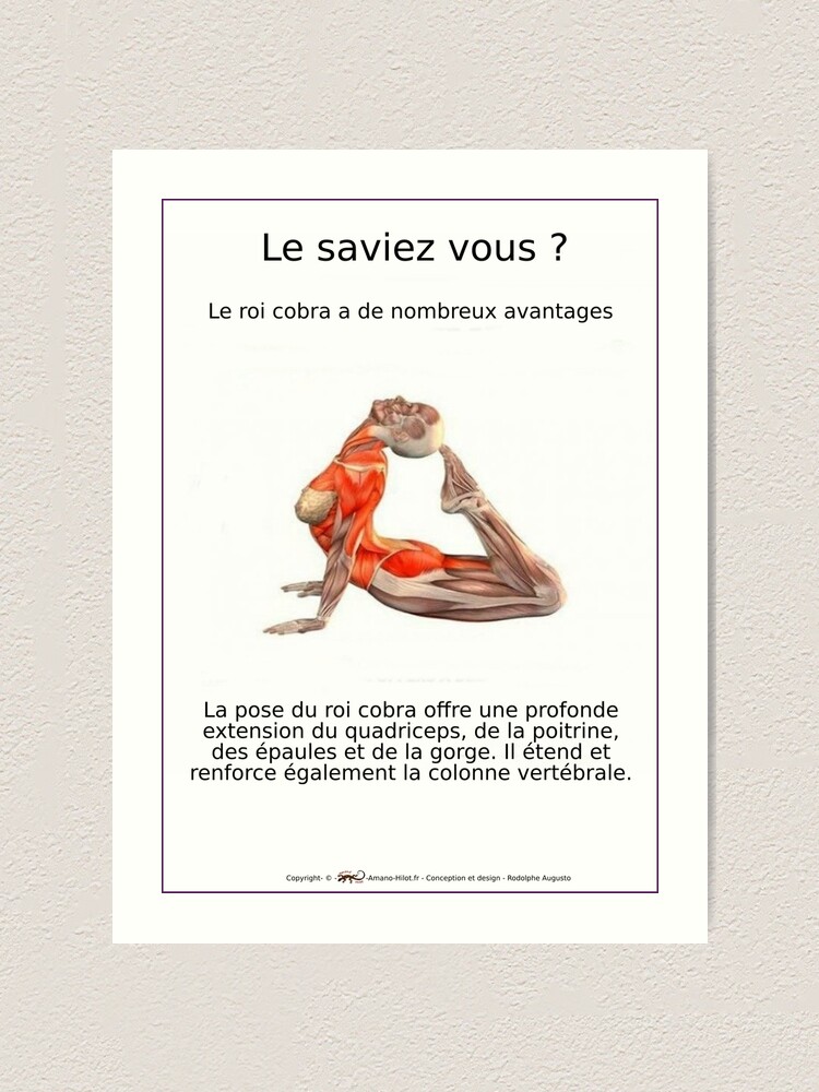 Impression artistique ''Planches Musculo-squelettique des positions de Yoga - N°8' : autre vue