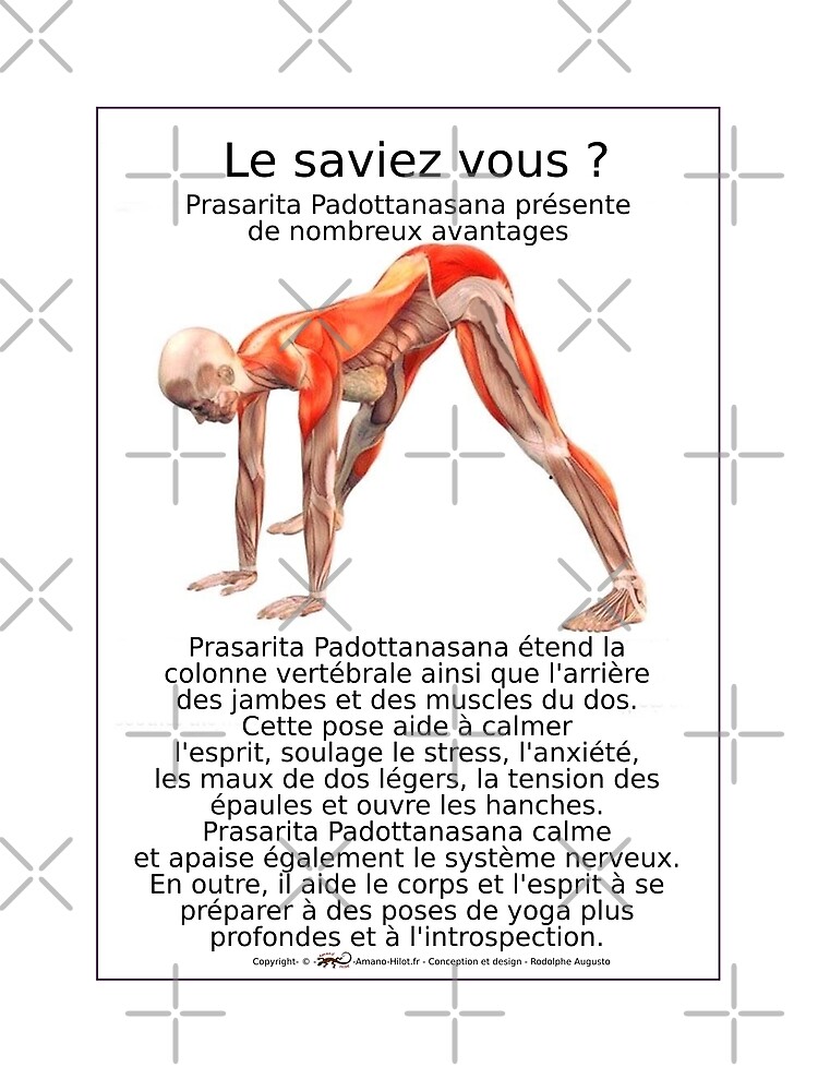 « Planches Musculo-squelettique des positions de Yoga - N°10 » par rodolphe-a