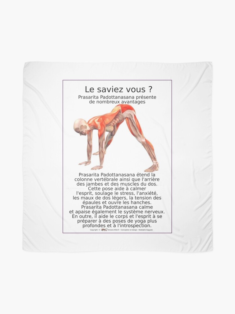 Foulard ''Planches Musculo-squelettique des positions de Yoga - N°10' : autre vue