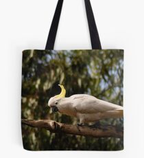 sulphur-crested cockatoo Tote Bag