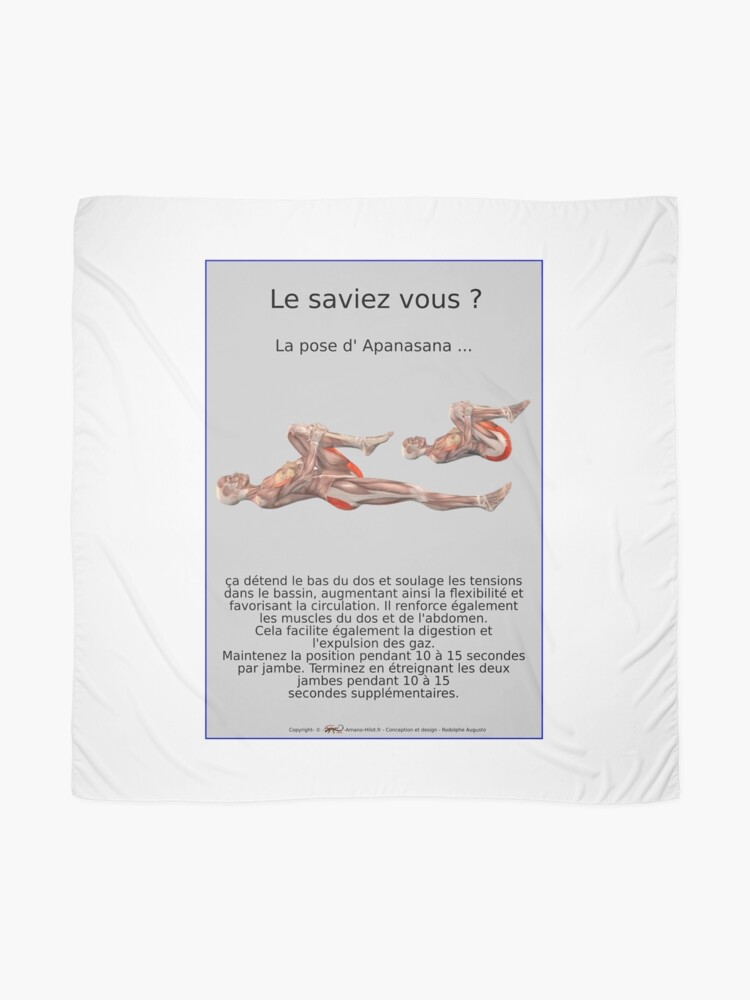 Foulard ''Planches Musculo-squelettique des positions de Yoga - N°15' : autre vue