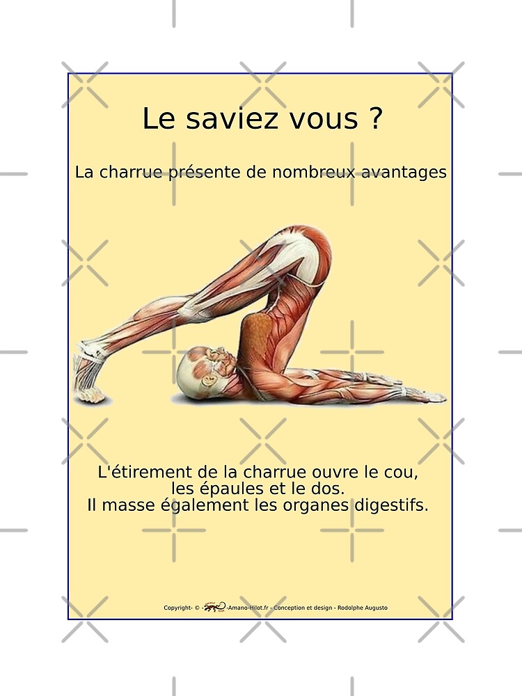 « Planches Musculo-squelettique des positions de Yoga - N°16 » par rodolphe-a