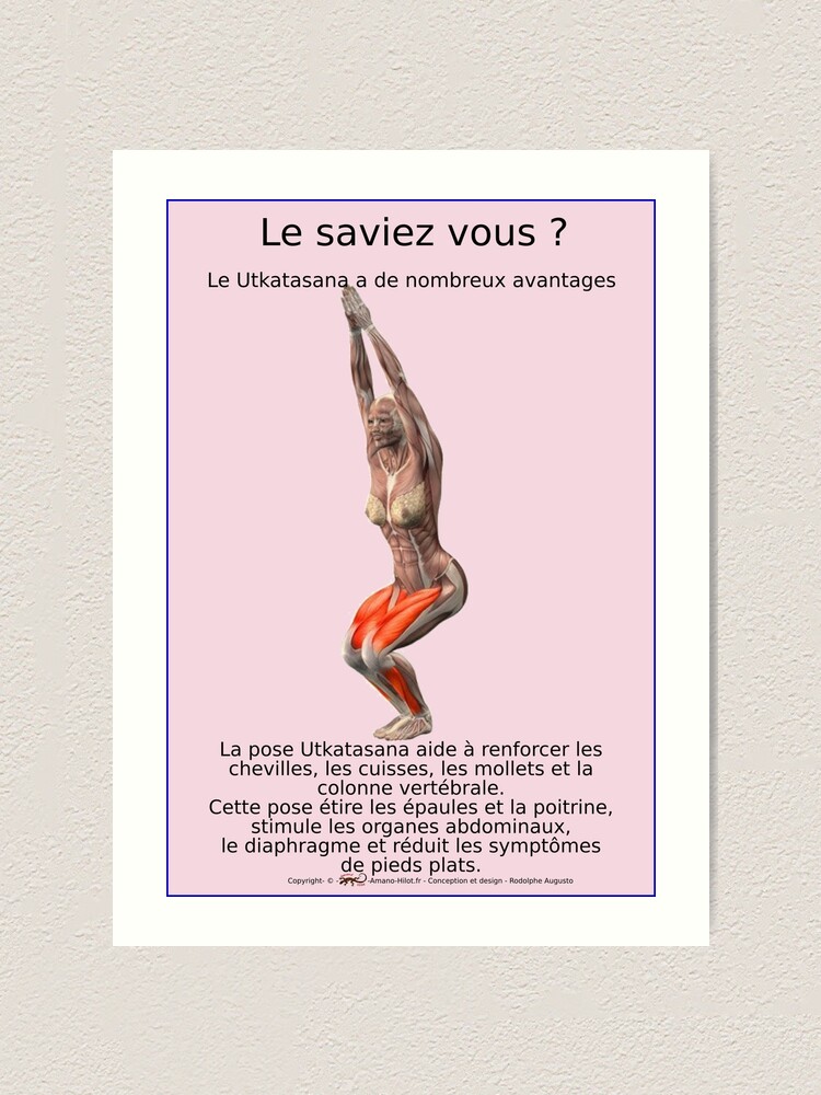 Impression artistique ''Planches Musculo-squelettique des positions de Yoga - N°19' : autre vue