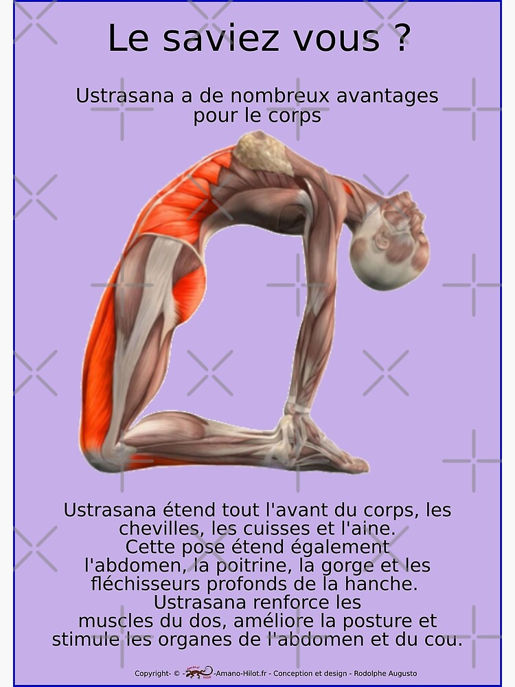 « Planches Musculo-squelettique des positions de Yoga - N°1 » par rodolphe-a
