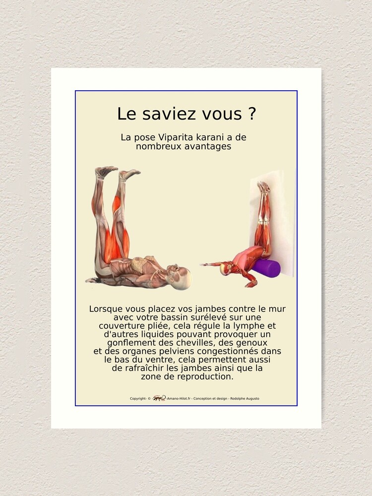 Impression artistique ''Planches Musculo-squelettique des positions de Yoga - N°23' : autre vue