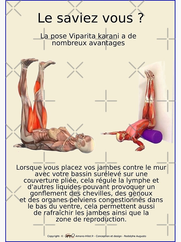 « Planches Musculo-squelettique des positions de Yoga - N°23 » par rodolphe-a