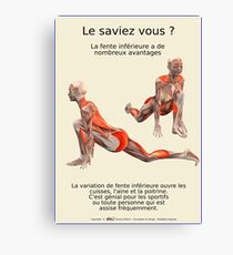 Planches Musculo-squelettique des positions de Yoga - N°25 Impression sur toile
