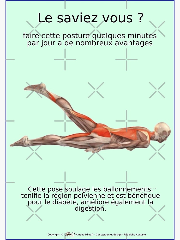 « Planches Musculo-squelettique des positions de Yoga - N°26 » par rodolphe-a