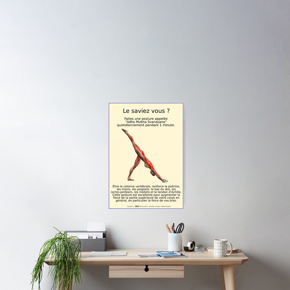 Poster « Planches Musculo-squelettique des positions de Yoga - N°27»