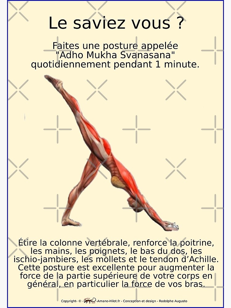 « Planches Musculo-squelettique des positions de Yoga - N°27 » par rodolphe-a
