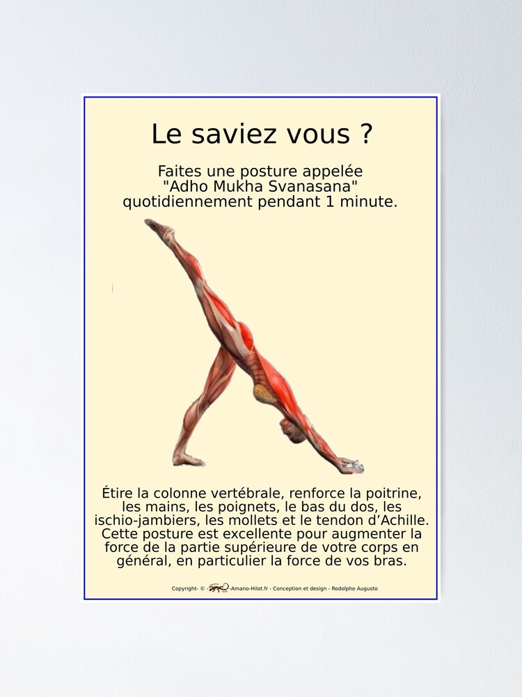 Poster ''Planches Musculo-squelettique des positions de Yoga - N°27' : autre vue