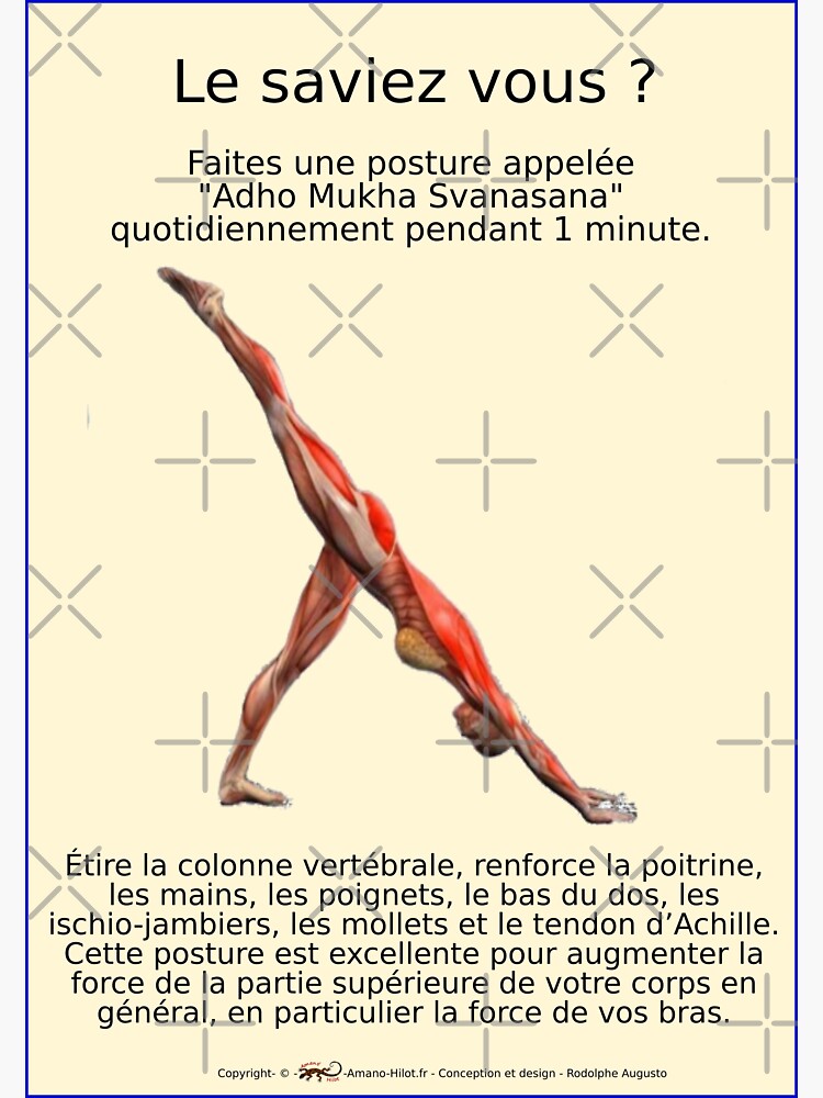 « Planches Musculo-squelettique des positions de Yoga - N°27 » par rodolphe-a