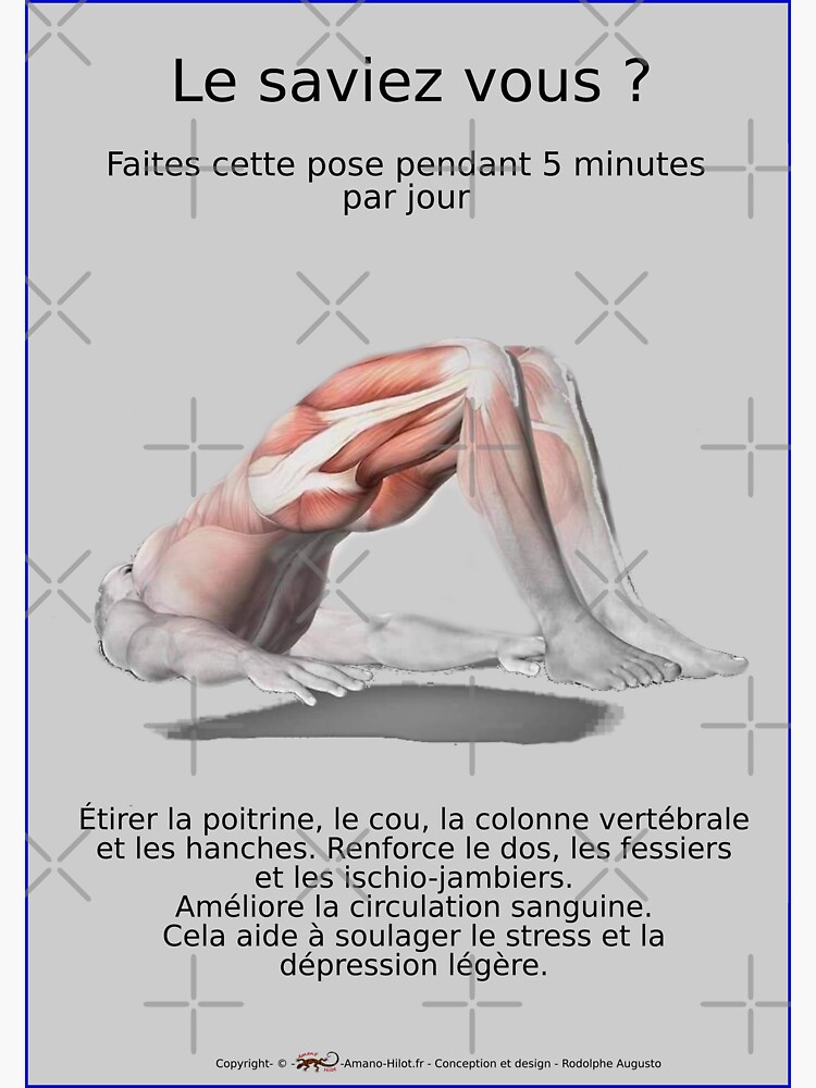 « Planches Musculo-squelettique des positions de Yoga - N°31 » par rodolphe-a