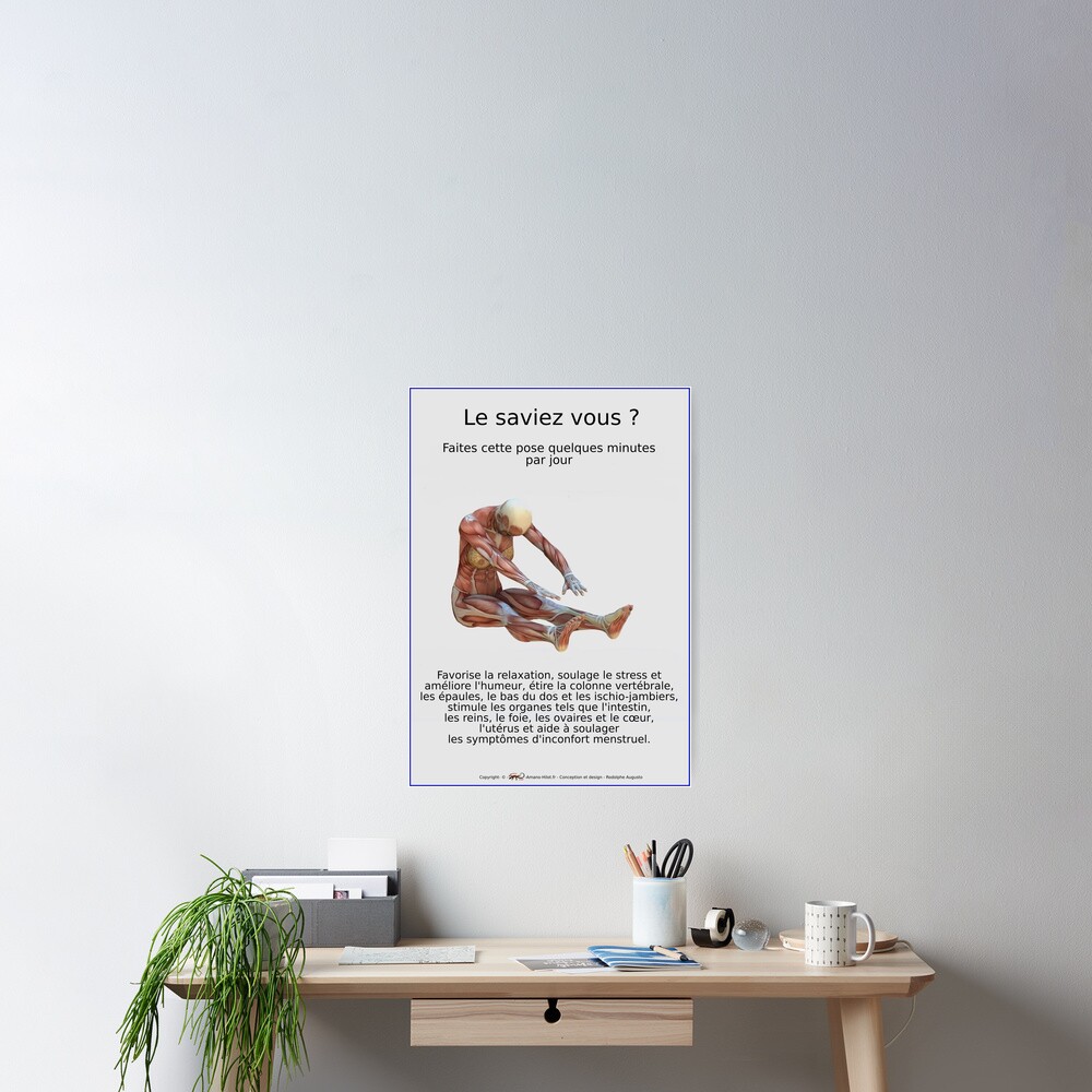 Poster « Planches Musculo-squelettique des positions de Yoga - N°33»