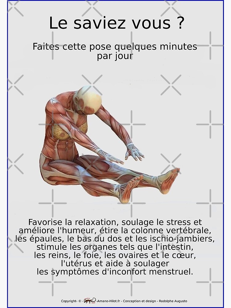 « Planches Musculo-squelettique des positions de Yoga - N°33 » par rodolphe-a