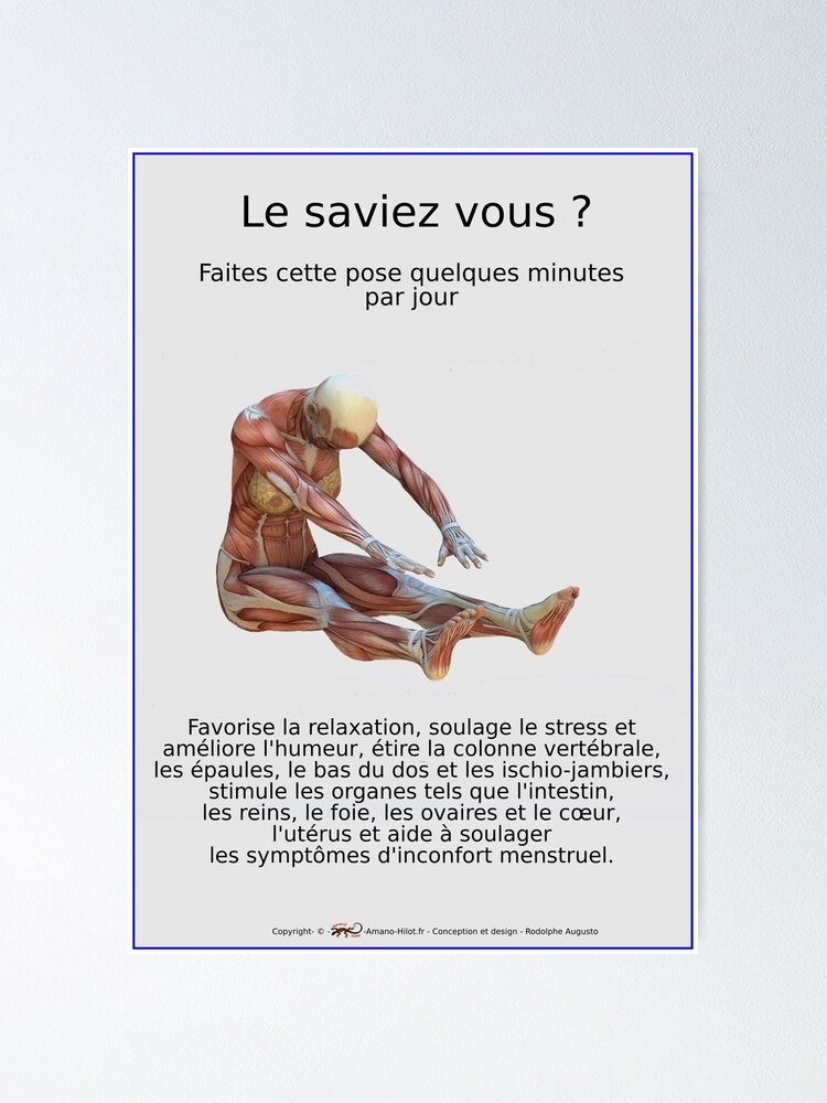 Poster ''Planches Musculo-squelettique des positions de Yoga - N°33' : autre vue